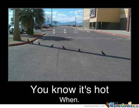 you-know-it-amp-039-s-hot-when_o_1535345